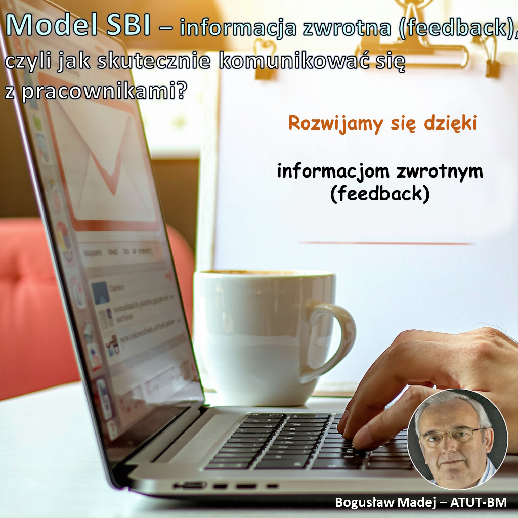 model-sbi-feedback.jpg